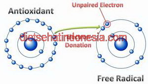 antioksidan